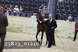 23R13_01249 thumbnail