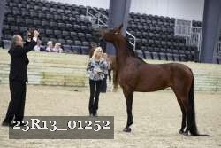 23R13_01252 thumbnail