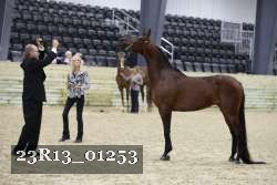 23R13_01253 thumbnail