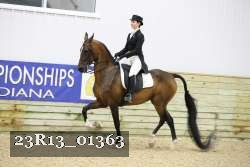 23R13_01363 thumbnail