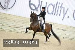 23R13_01364 thumbnail