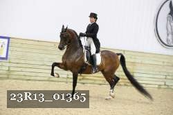 23R13_01365 thumbnail