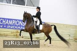23R13_01366 thumbnail