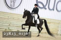 23R13_01367 thumbnail