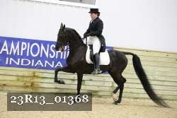 23R13_01368 thumbnail