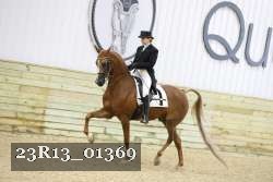 23R13_01369 thumbnail