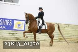 23R13_01370 thumbnail