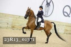 23R13_01371 thumbnail