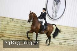 23R13_01372 thumbnail