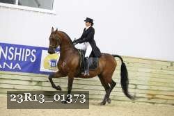 23R13_01373 thumbnail