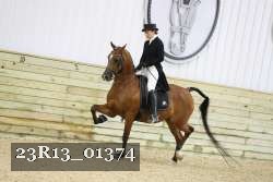 23R13_01374 thumbnail