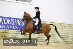 23R13_01375 thumbnail