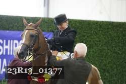 23R13_01377 thumbnail
