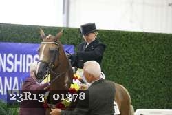 23R13_01378 thumbnail