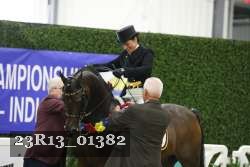 23R13_01382 thumbnail