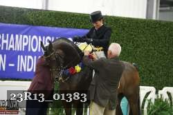 23R13_01383 thumbnail