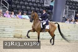 23R13_01389 thumbnail