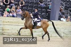 23R13_01390 thumbnail