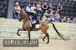 23R13_01391 thumbnail