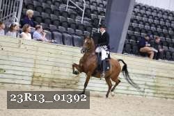 23R13_01392 thumbnail