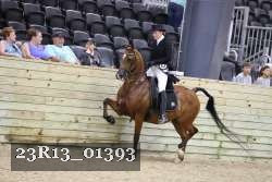 23R13_01393 thumbnail