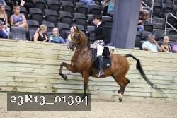 23R13_01394 thumbnail