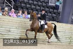 23R13_01397 thumbnail