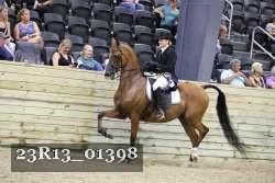 23R13_01398 thumbnail