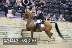 23R13_01399 thumbnail