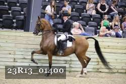 23R13_01400 thumbnail