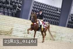 23R13_01401 thumbnail