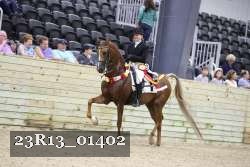 23R13_01402 thumbnail
