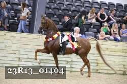 23R13_01404 thumbnail