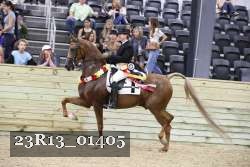 23R13_01405 thumbnail