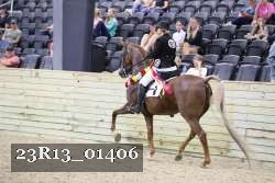 23R13_01406 thumbnail