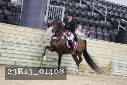 23R13_01408 thumbnail