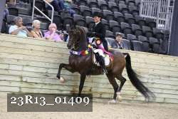 23R13_01409 thumbnail