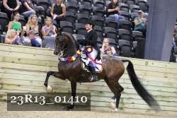 23R13_01410 thumbnail