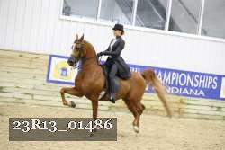 23R13_01486 thumbnail