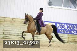 23R13_01500 thumbnail