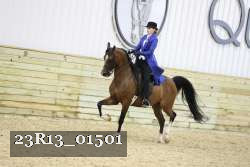 23R13_01501 thumbnail