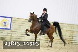 23R13_01503 thumbnail
