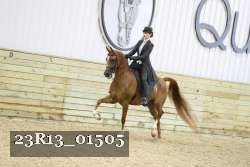 23R13_01505 thumbnail