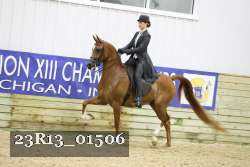 23R13_01506 thumbnail