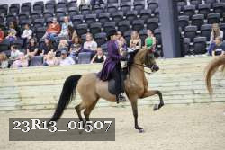 23R13_01507 thumbnail