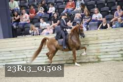 23R13_01508 thumbnail