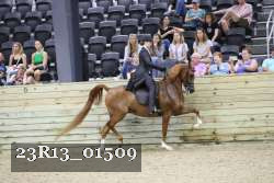 23R13_01509 thumbnail