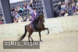 23R13_01510 thumbnail