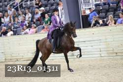 23R13_01511 thumbnail