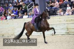 23R13_01512 thumbnail